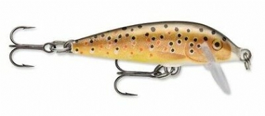 BROWN TROUT
